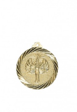 Médaille Ø 32 mm Victoire  - NX17