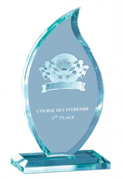 Trophée Verre Personnalisé 166-61-CLI