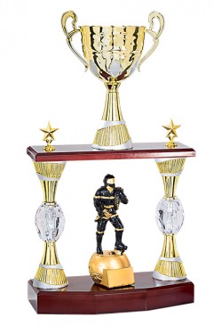 Trophée Personnalisé Figurine147-51-RS