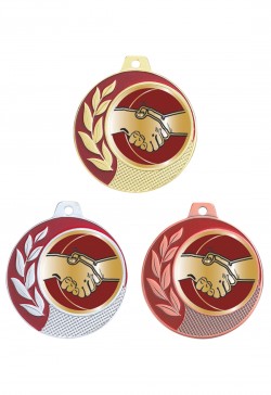 Médaille Ø 70 mm Amitié  - CZ01