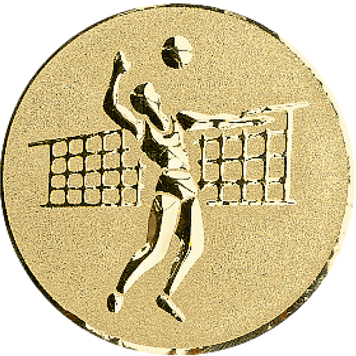 Trophée Amitié Personnalisé 52534-C